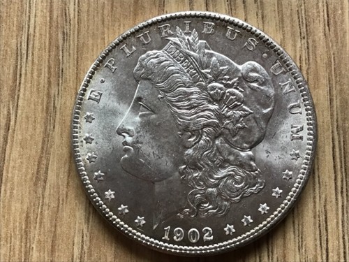 Dollar morgan 1902 - dollar,