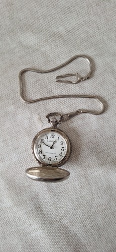 Montre gousset lucerne - gousset,
