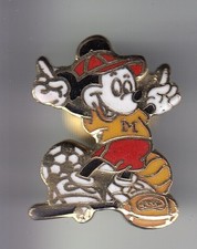 RARE PINS PIN'S .. DISNEY USA