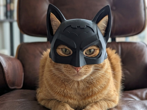 Casque deguisement pour chat - casque,