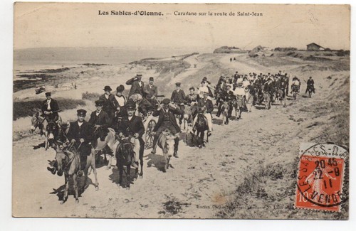 Thème anes donkey - donkey, promenade