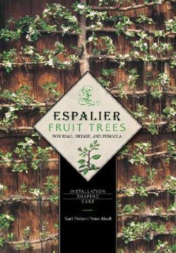 Karl pieber peter modl - karl,