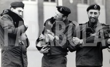 Photo De Presse Vintage Chiots De Berger Allemand En Frontière, Tirage 20x13 Cm