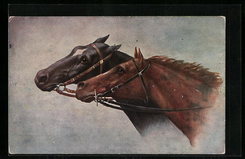 Motif deux chevaux avec - chevaux,