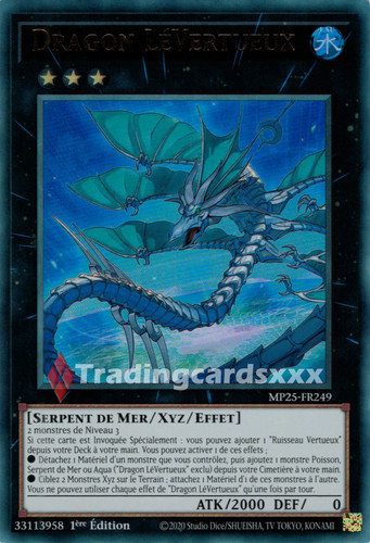 Dragon lévertueux - dragon,