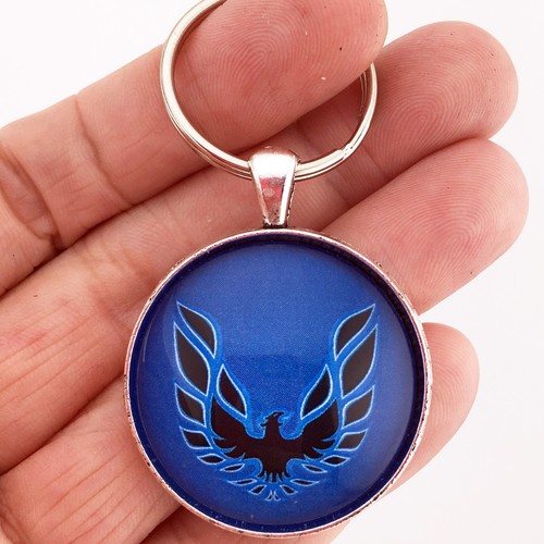 Blue pontiac firebird - firebird, am