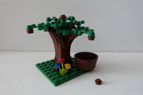 Maronier arbre - maronier,