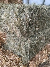 Ballot de Foin Natura 2000 -