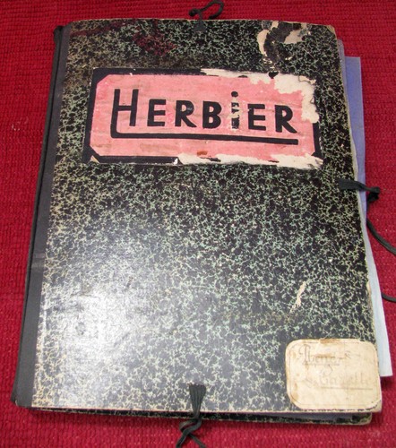 Herbier ancien annees - ancien,