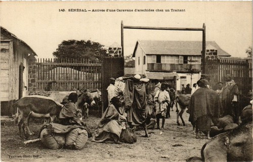 Cpa senegal arrivee une - cpa,