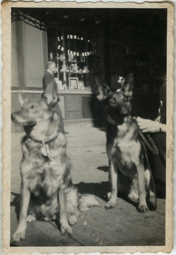 Old photo vintage - old,
