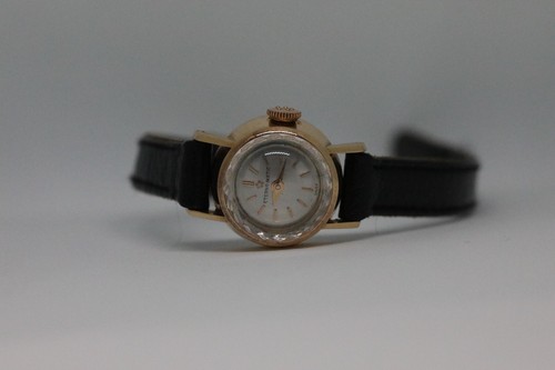 Montre eterna eternamatic - montre,