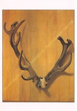 CP ART TABLEAU JEAN JACQUES BACHELIER Bois de cerf
