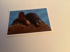 AUTOCOLLANT PANINI CARREFOUR