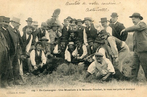 Cailar camargue une - cailar,