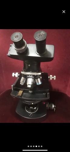 Microscope wild heerbrugg - microscope,