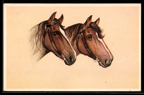 Deux chevaux avec