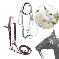 Bride de cheval avec rênes Accessoires d'équitation confortables Licol