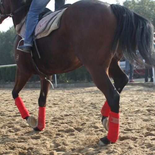 Rouleaux de jambe - de,