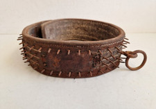 Collier anti loup pour chien