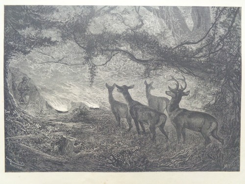 Grande gravure ancienne sur - grande,