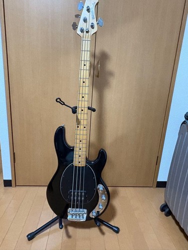 Ernie ball music man stingray - ernie,
