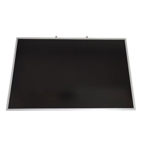 Dell display lp171wp9 - display, 17,0