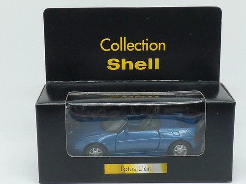 Miniature collection shell - miniature,