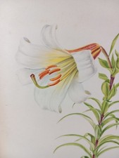 Paul Seguin-Bertault