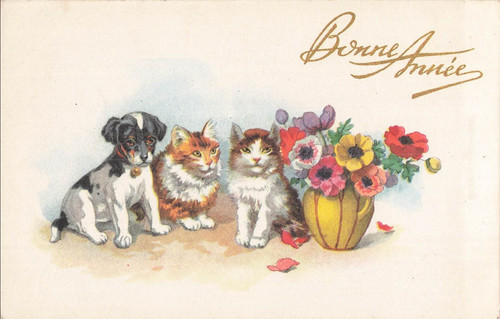 Illustree bonne annee - bonne,