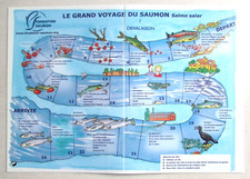 Le Grand Voyage du Salmon I Devalaison II Montaison Double Sided Play Board
