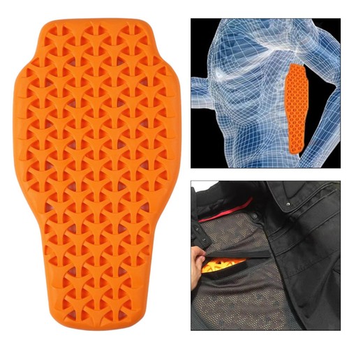 Protection dorsale pour moto