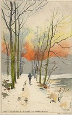 CP BELGIUM ILLUSTRATOR F.RANOT HEALTH FOREST 