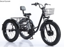Tricycle électrique 20 pouces, moteur 500 W, écran LCD, capacité de charge 150kg