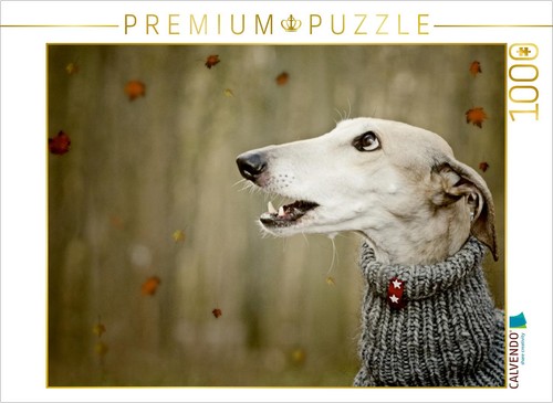 Calvendo puzzle herbststurm - calvendo,