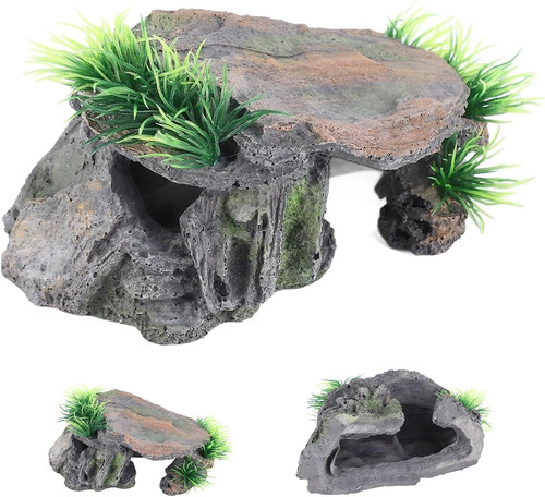 Abri pour tortue terrasse - tortue,