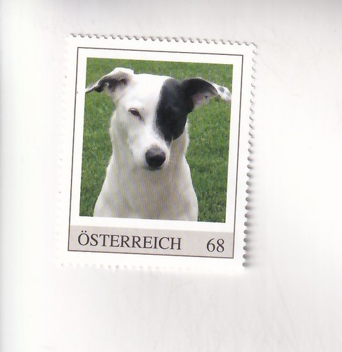 Timbre autriche chiens - timbre,