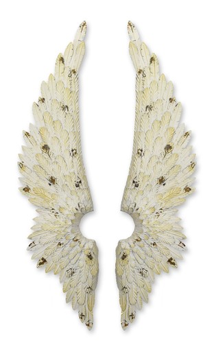 Une paire ailes ange - d'ailes, à