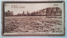 Image Suchard Czechoslavia . Le bois floté .n°228