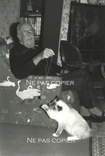 CAT playing wool ball circa 1990 photo by A. Aubert 23 x 16 cm