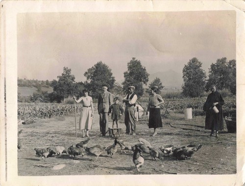 Ancienne photographie petit - photographie,