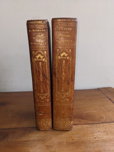 Livre ancien a - livre,
