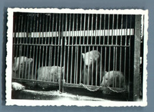 Galdin, France, Paris, Cirque