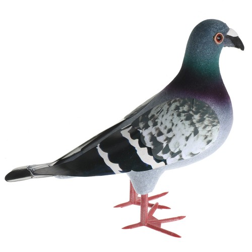 Faux pigeon décoration - pigeon,