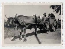 photo tirage anonyme 1941