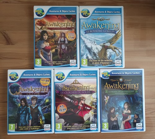 Jeux big fish awakening - big,