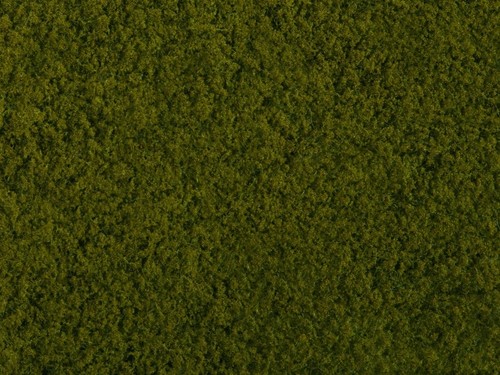 Noch foliage light green x - green, 20