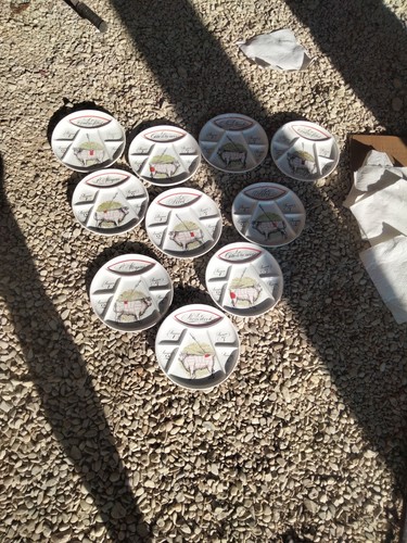 Lot assiette - 10,