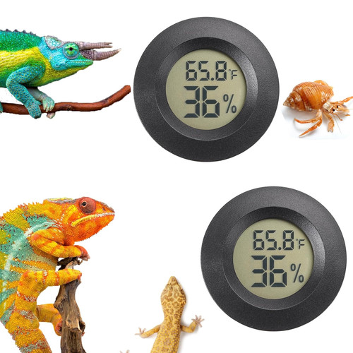 Reptile thermometer and - thermometer,