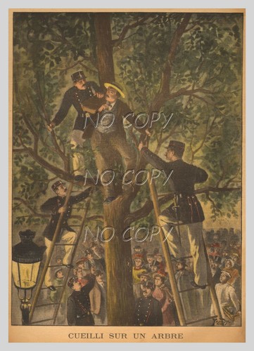 1901 illustration gravure - 1901,